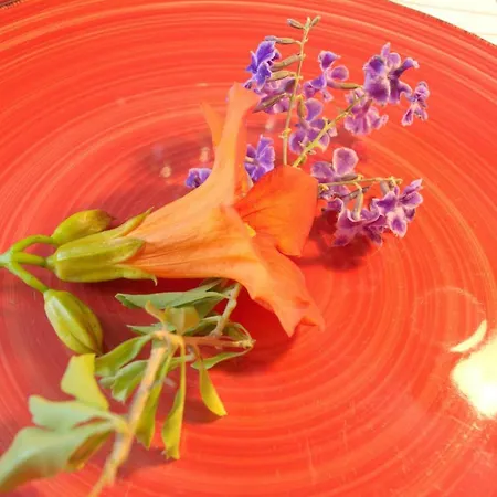 Appartamento Casa Al Mare Tusa